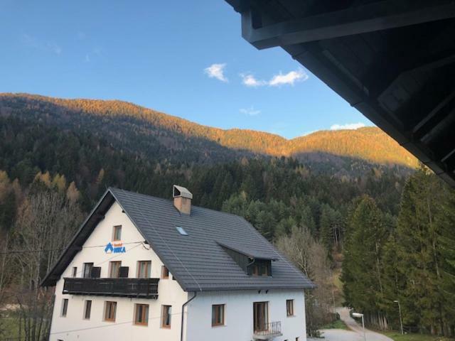 Apartma Anka *** Kranjska Gora Bagian luar foto